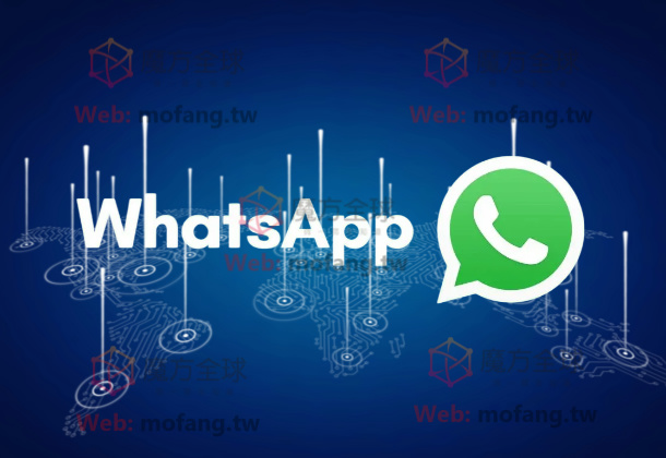 如何快速完成WhatsApp号码检测？