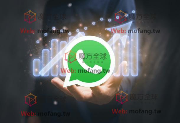 WhatsApp号码检测工具的使用技巧【魔方全球号码检测】