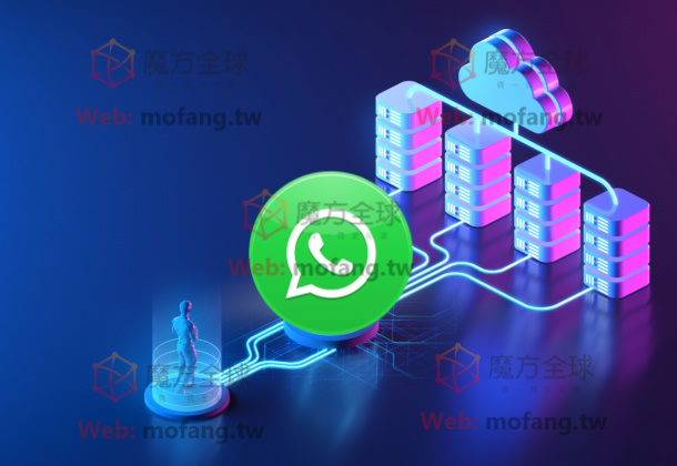WhatsApp加好友数据怎么搞？简单操作方法看这里！