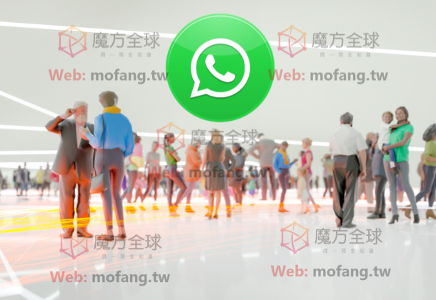 想快速获取WhatsApp加好友数据？这些方法你一定要试！