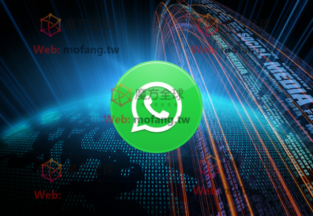 如何通过WhatsApp筛选活跃用户，提升私域流量？