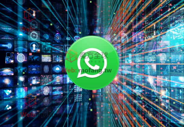私域流量增长秘诀：WhatsApp筛选活跃用户技巧！