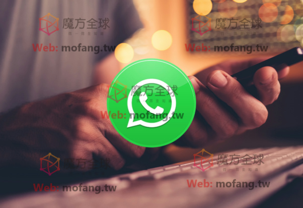  用WhatsApp筛选活跃用户，打造高质量私域流量池