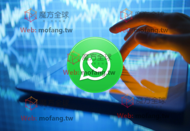 WhatsApp筛选活跃用户的操作指南，助力私域流量管理