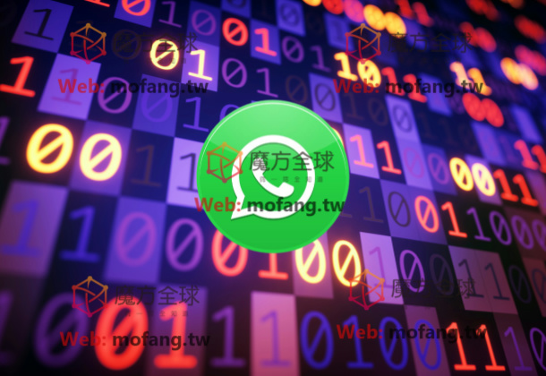 手机验证码过期怎么处理？WhatsApp加好友群发技巧分享！