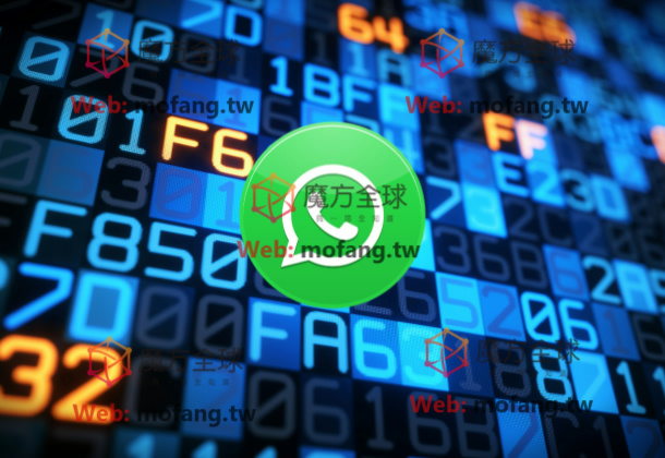 WhatsApp加好友群发遇到验证码过期怎么办？快速解决方法！